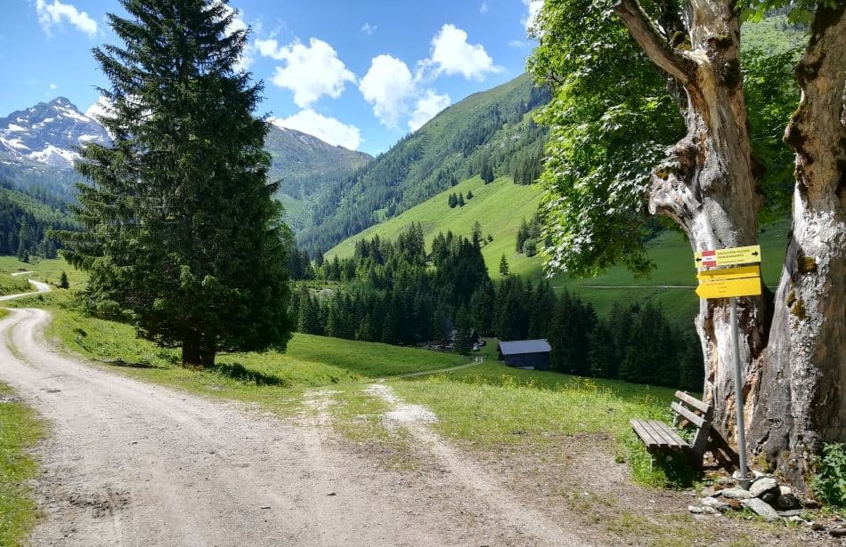 Luswandeling-Schwarzenhof-4_export