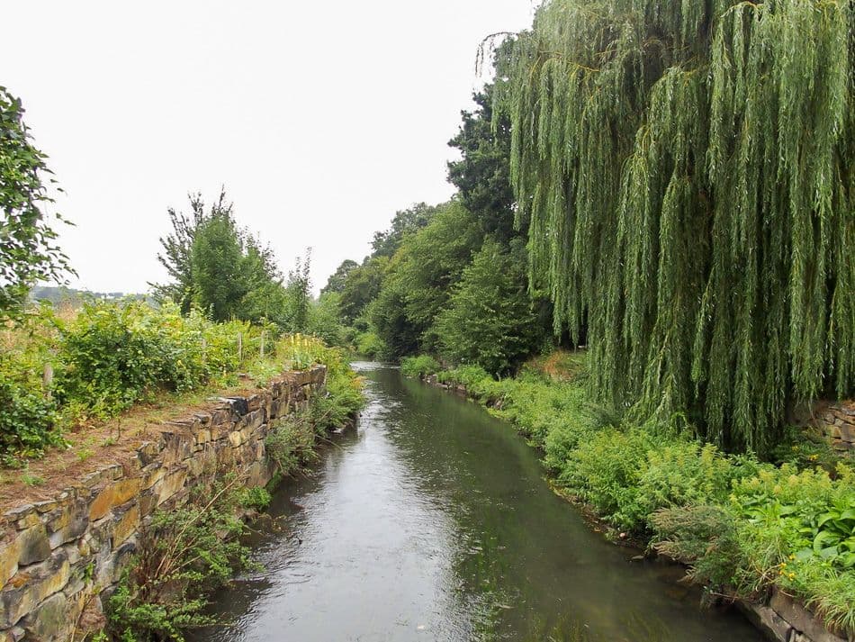 thumbnail_IMG_0646_export_w950