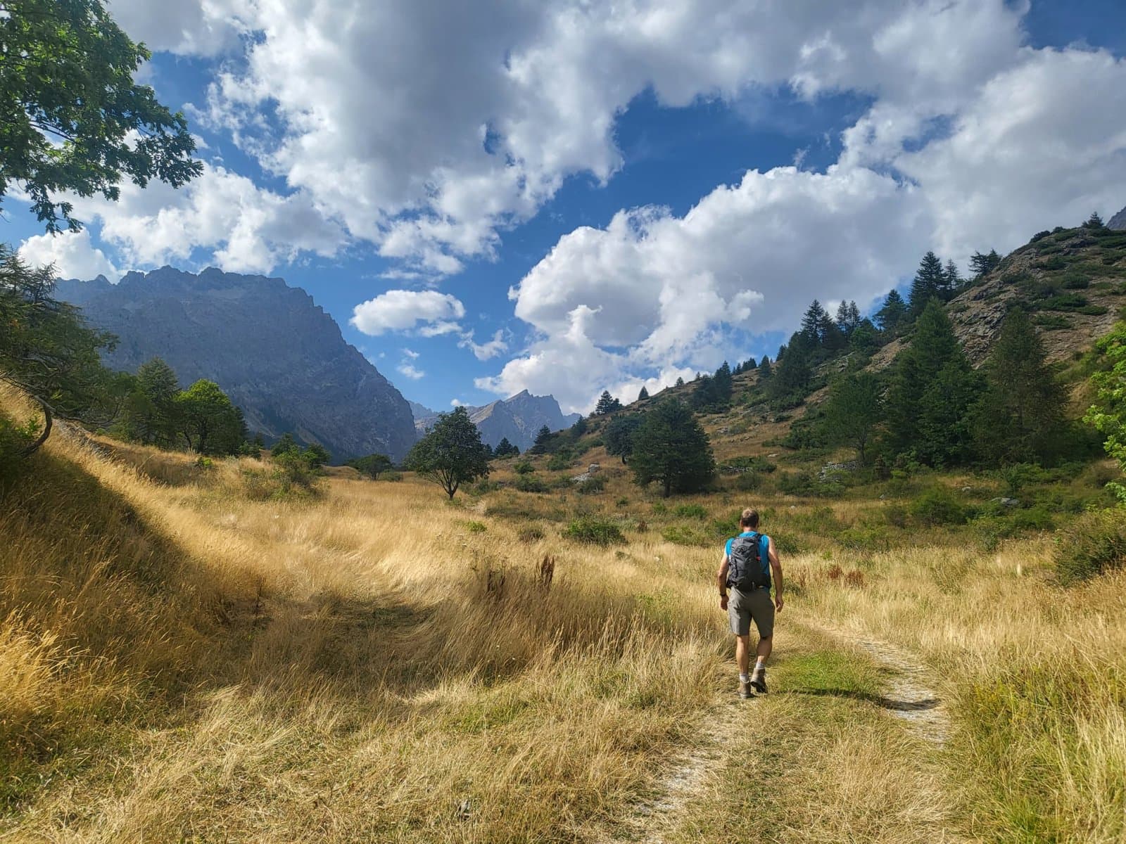 3Abc2665 A882 410F B7c8 C2d6ca41093e