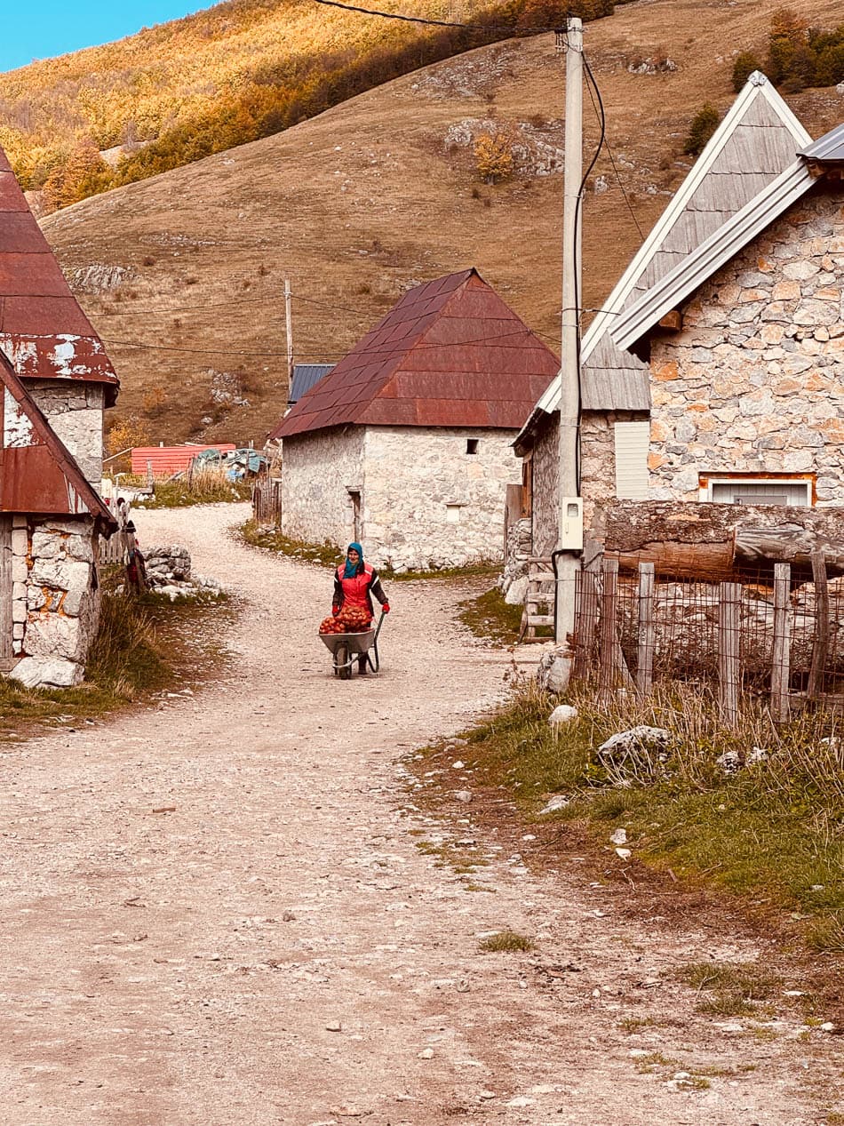 IMG 1982 Selectie Anne Cornut W950