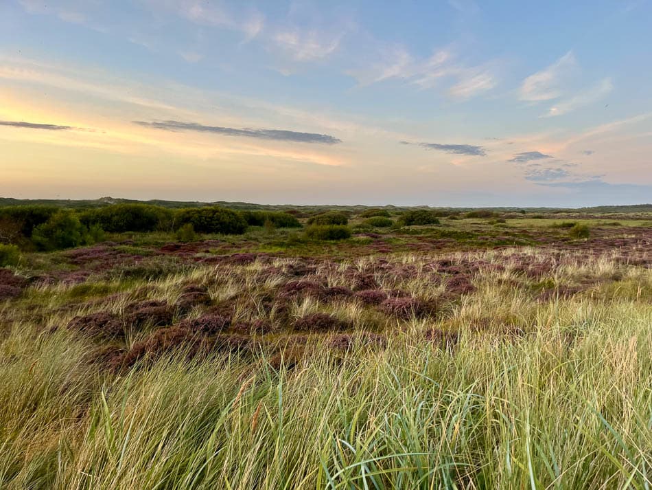 Image00001 NL5TSA Eveline Claes W950