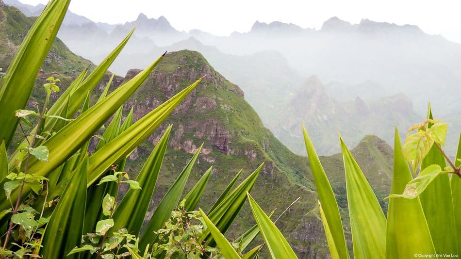 AR-15-CV-KR-175_export_w950