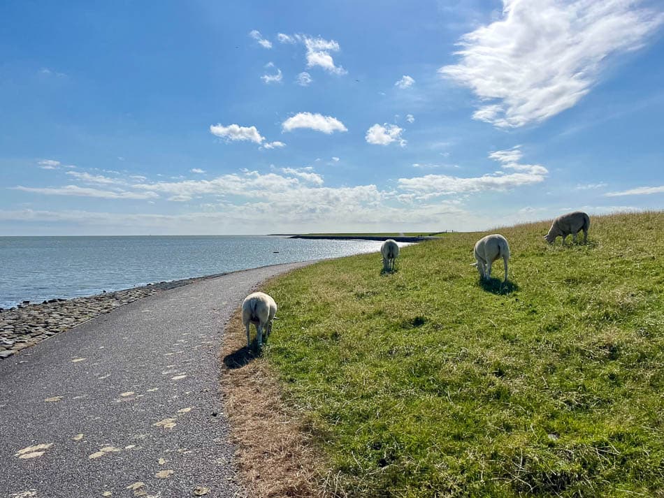 Image00008 NL5TSA Eveline Claes W950