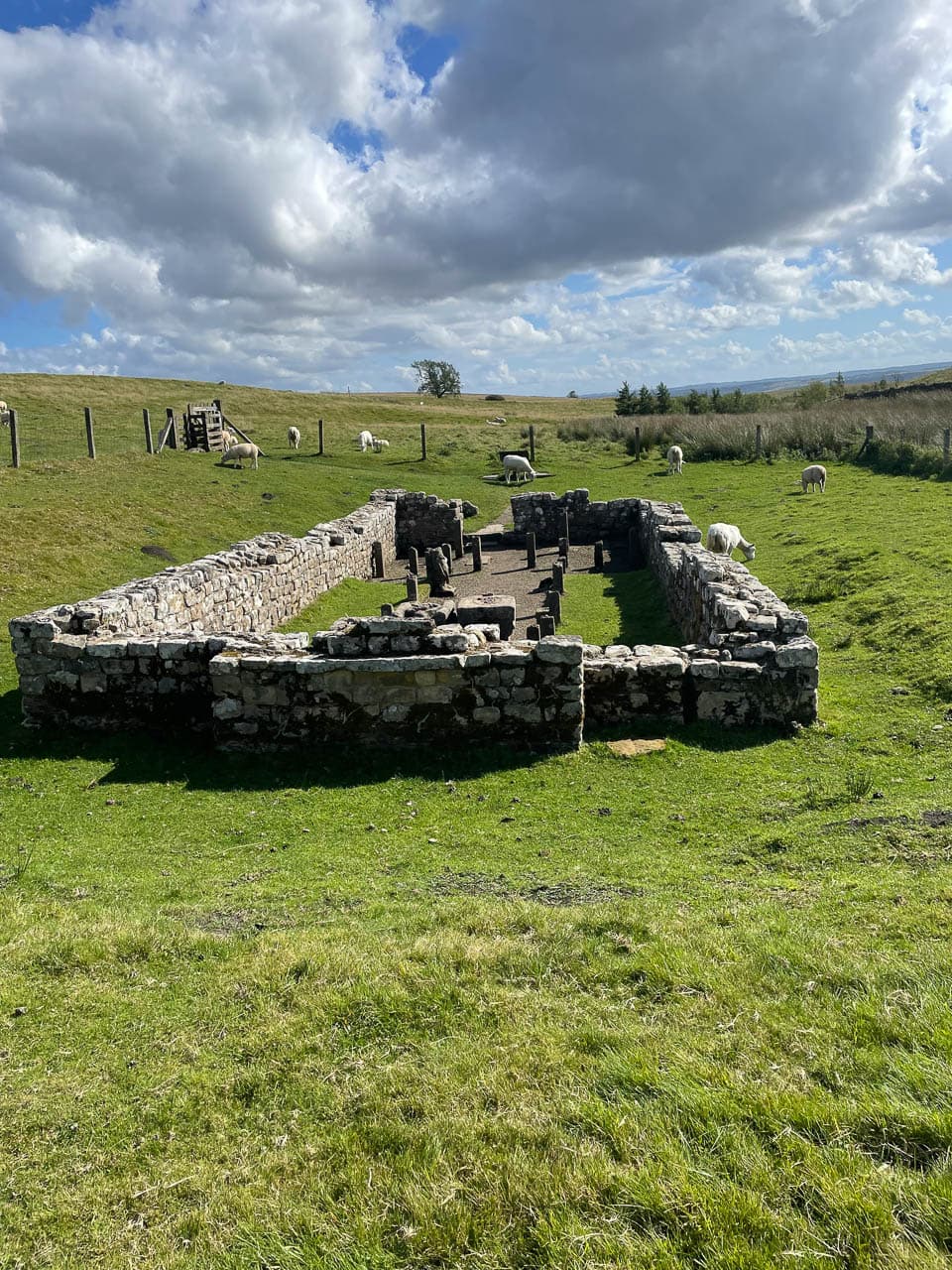 Selectie Image00041 Rosanne Addiers