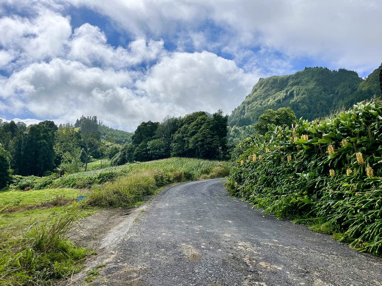 PT5AZA Image00035 Eveline Claes