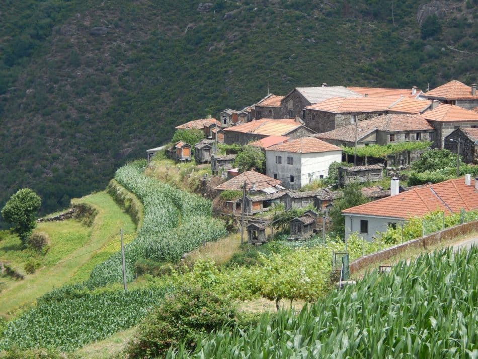 MA Minho DSCN8108_export