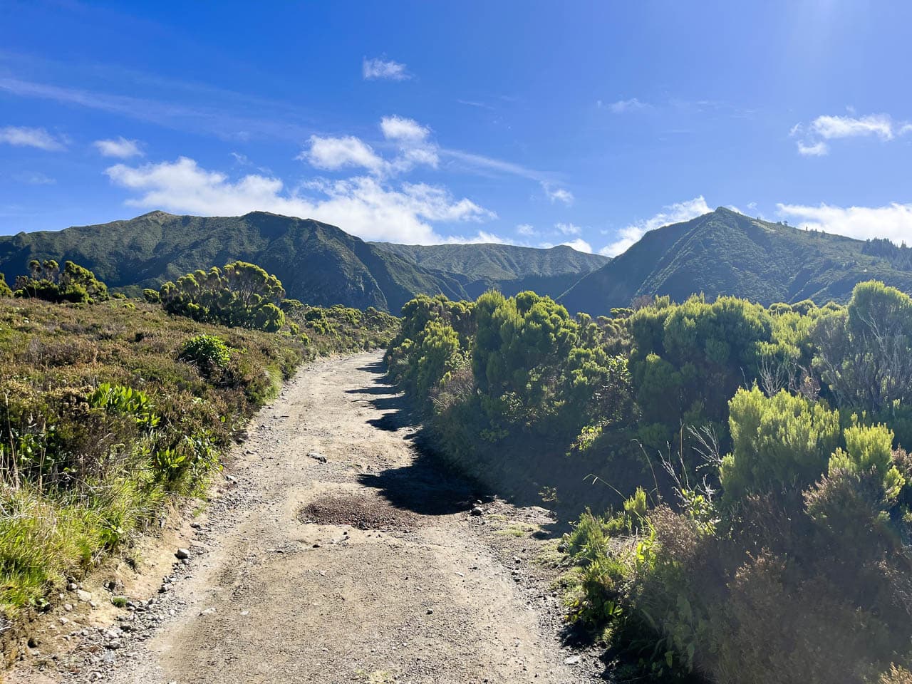 PT5AZA Image00022 Eveline Claes