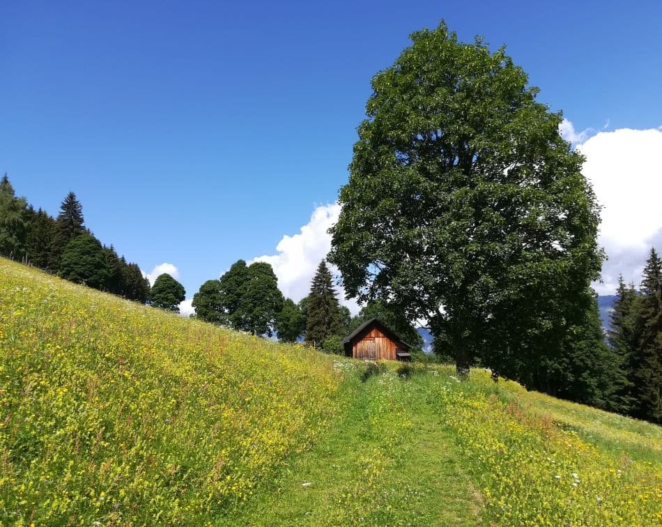 Luswandeling-Schwarzenhof-2_export