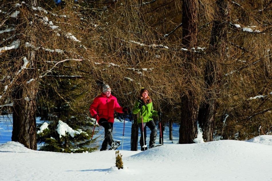 Schneeschuh_03-Custom