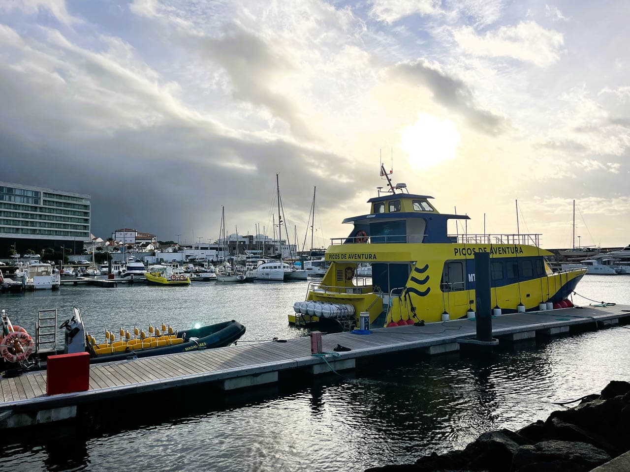 PT5AZA Image00002 Eveline Claes