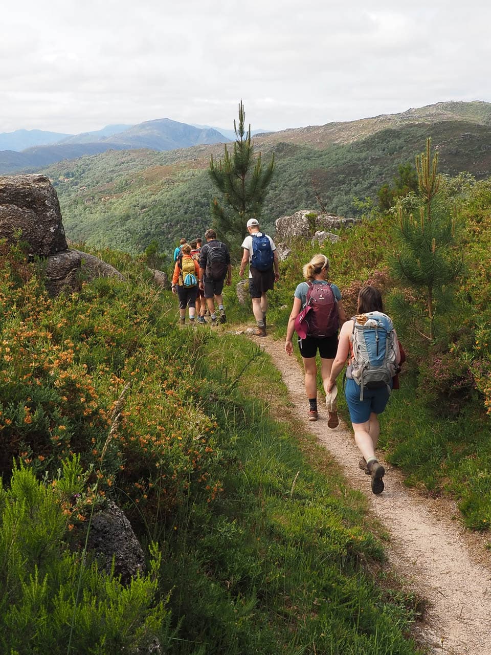 Selectie P6038129 Tom De Borger