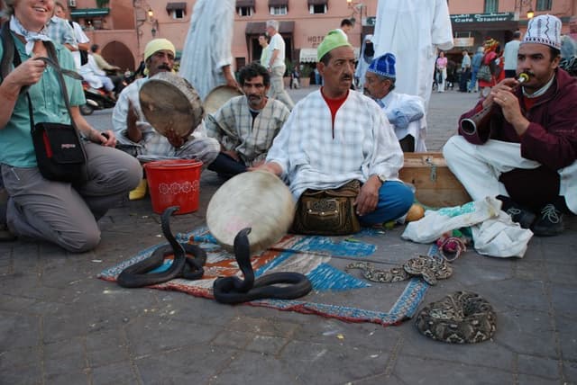 Jan-Van-den-bergh-07-5_export