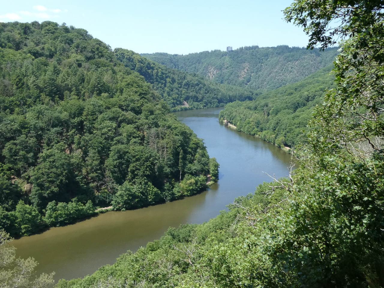 Selectie PANA0066 Dirk De Vos