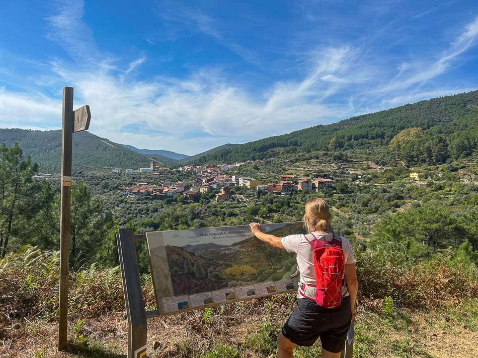 IMG 9890 ES5SSA Agent W950