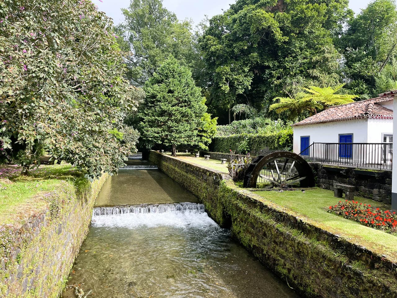 PT5AZA Image00034 Eveline Claes