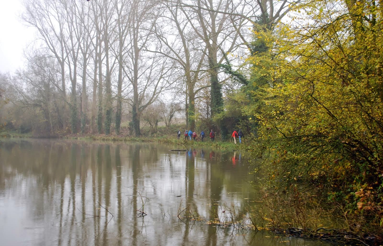 DSC_24_Veronique_De_Smedt