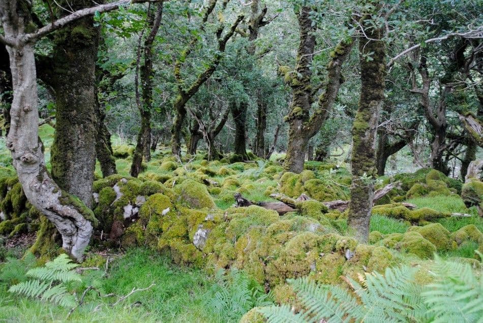 201408-ierland-164-Custom