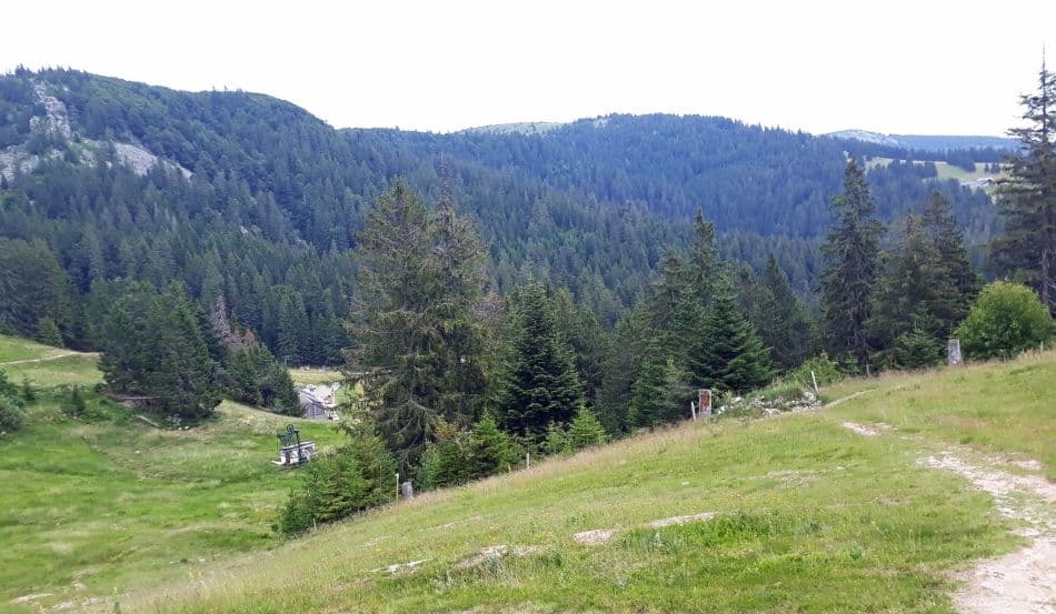 20190707_115327_export