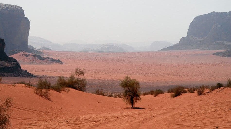 Jordanie-09-Tom-De-Borger-23-Custom (1)