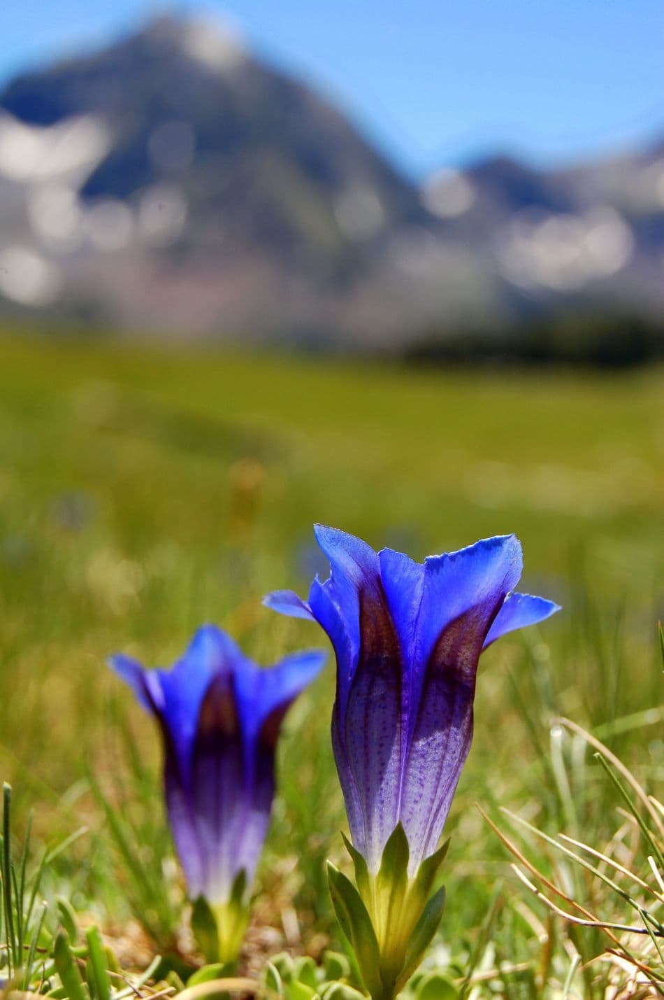 DSC_0033-kopie_export