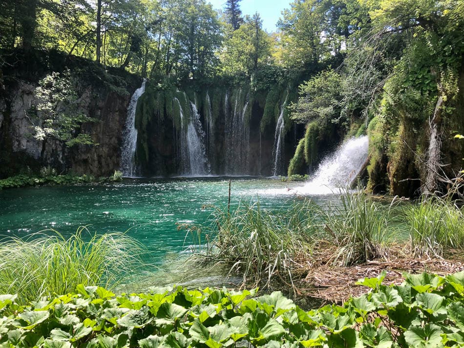 IMG 2344 2025 Agent Yugo Yugo W950