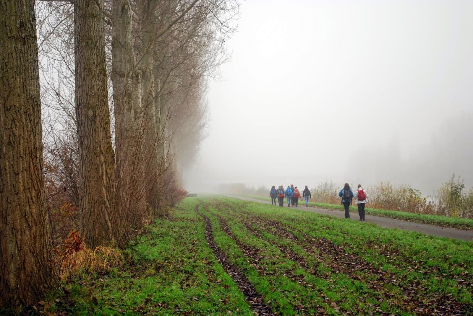 DSC_21_Veronique_De_Smedt