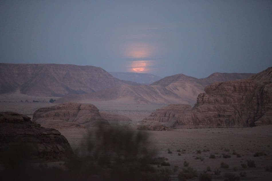 IMG_9197_enzo_export