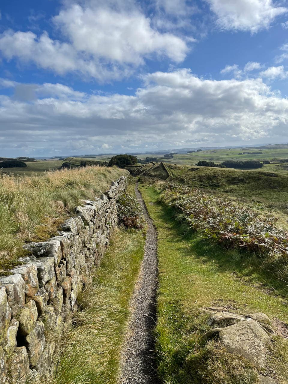 Selectie Image00036 Rosanne Addiers