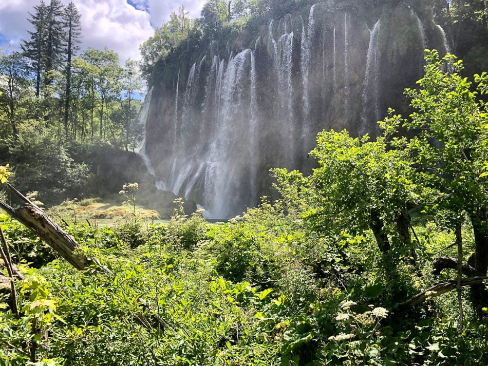 IMG 2345 2025 Agent Yugo Yugo W950