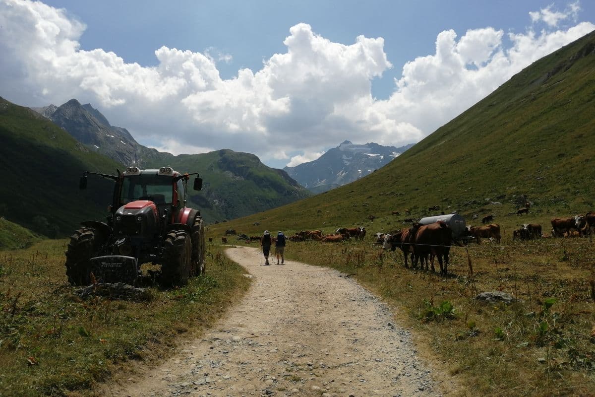 IMG_20190725_143008_export