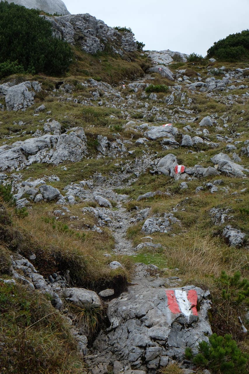 Selectie DSCF6239 Maarten Caversoons