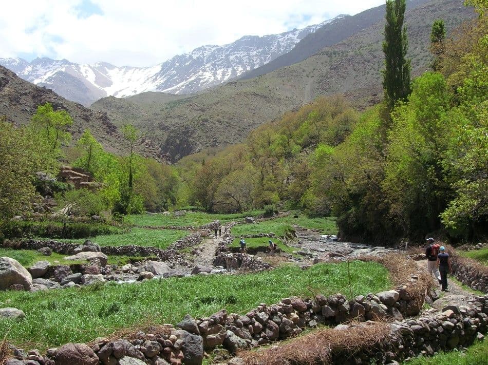 Bart-De-Winter-DSCN3564-Custom