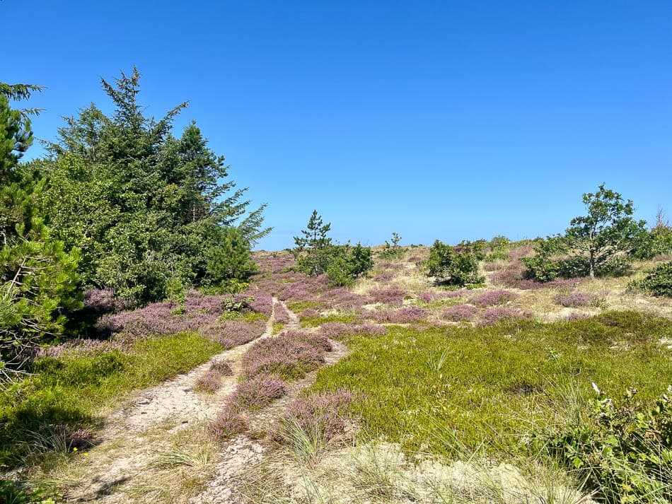 Image00014 NL5TSA Eveline Claes W950