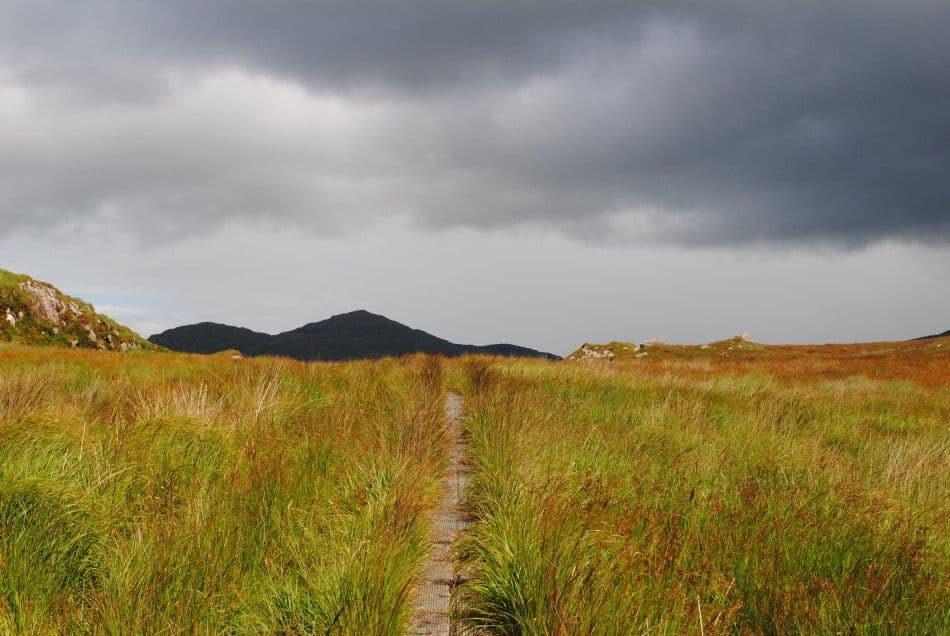 201408-ierland-168-Custom