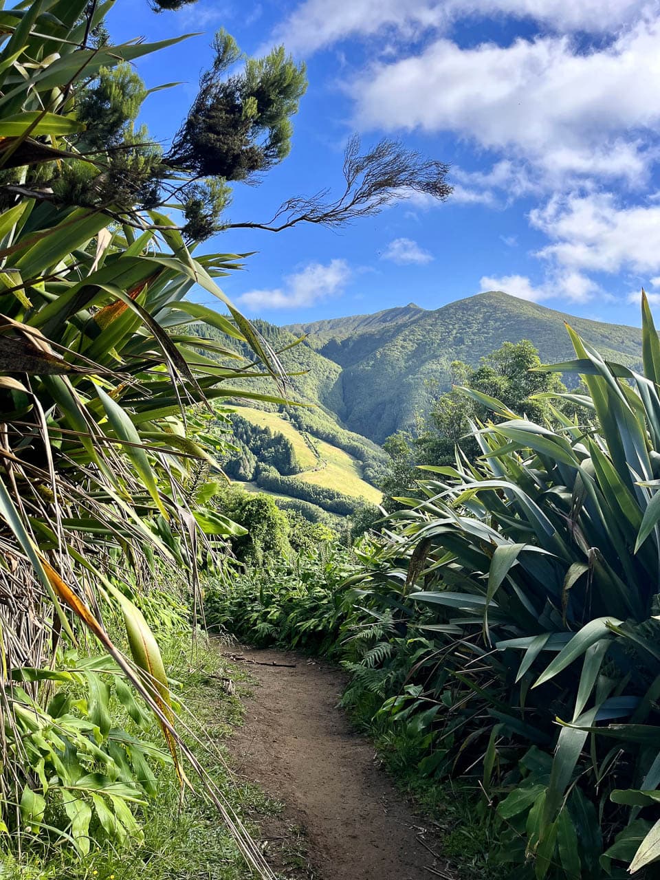 PT5AZA Image00015 Eveline Claes