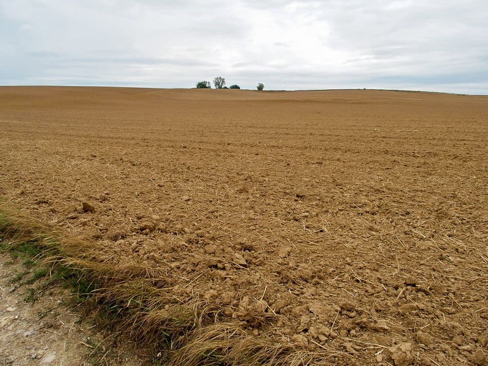 thumbnail_P9030348_export_w950