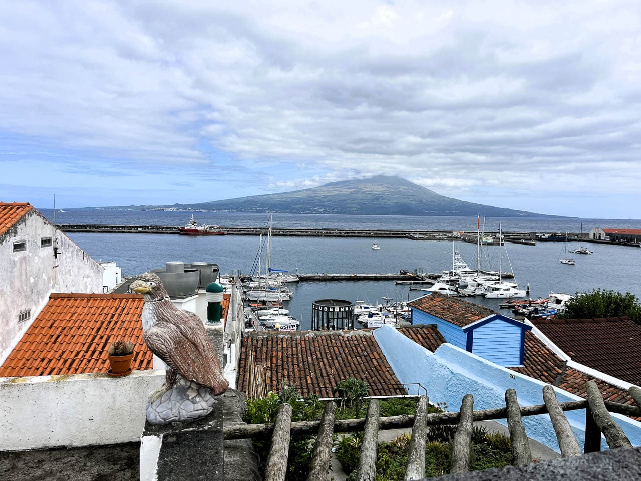 PT5AZA Image00042 Eveline Claes