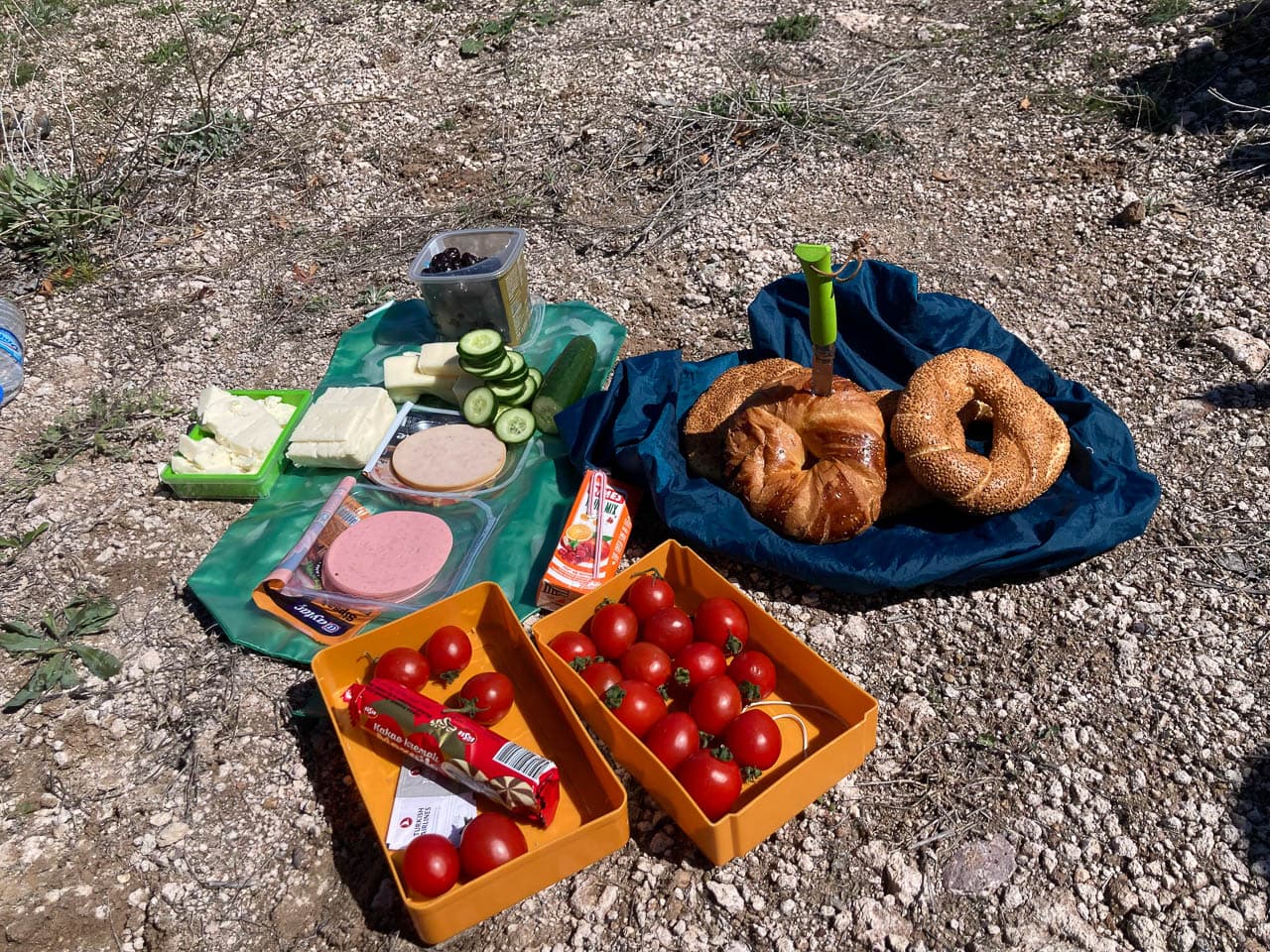 Selectie IMG 4658 Charlotte Stevens