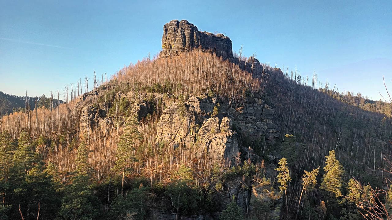 2025 20251107 150805 Lori Persoons