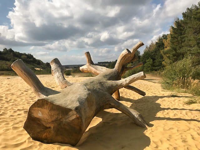 IMG_1607_export_w950