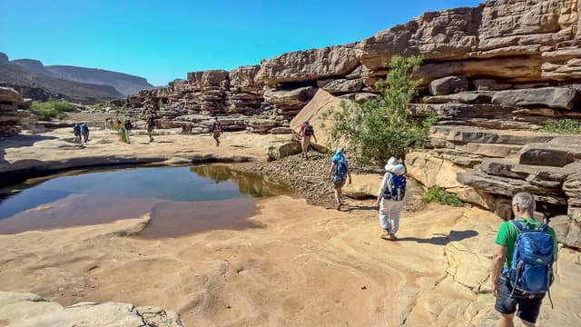 WP_20180408_11_13_05_Pro_export_w950