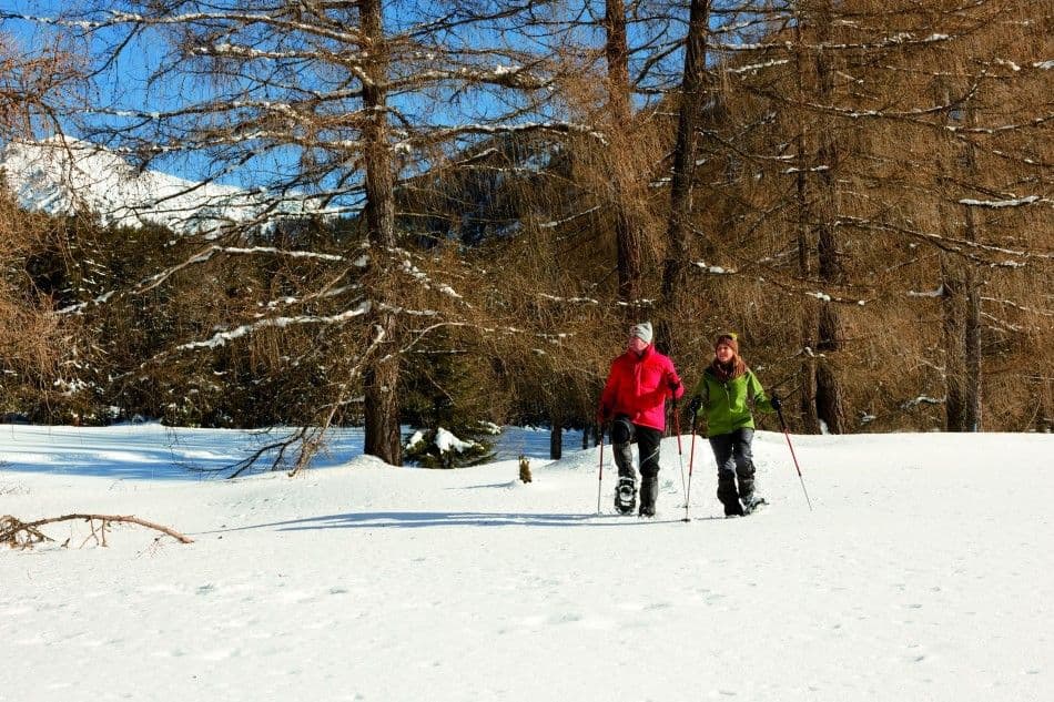 Schneeschuh_04-Custom