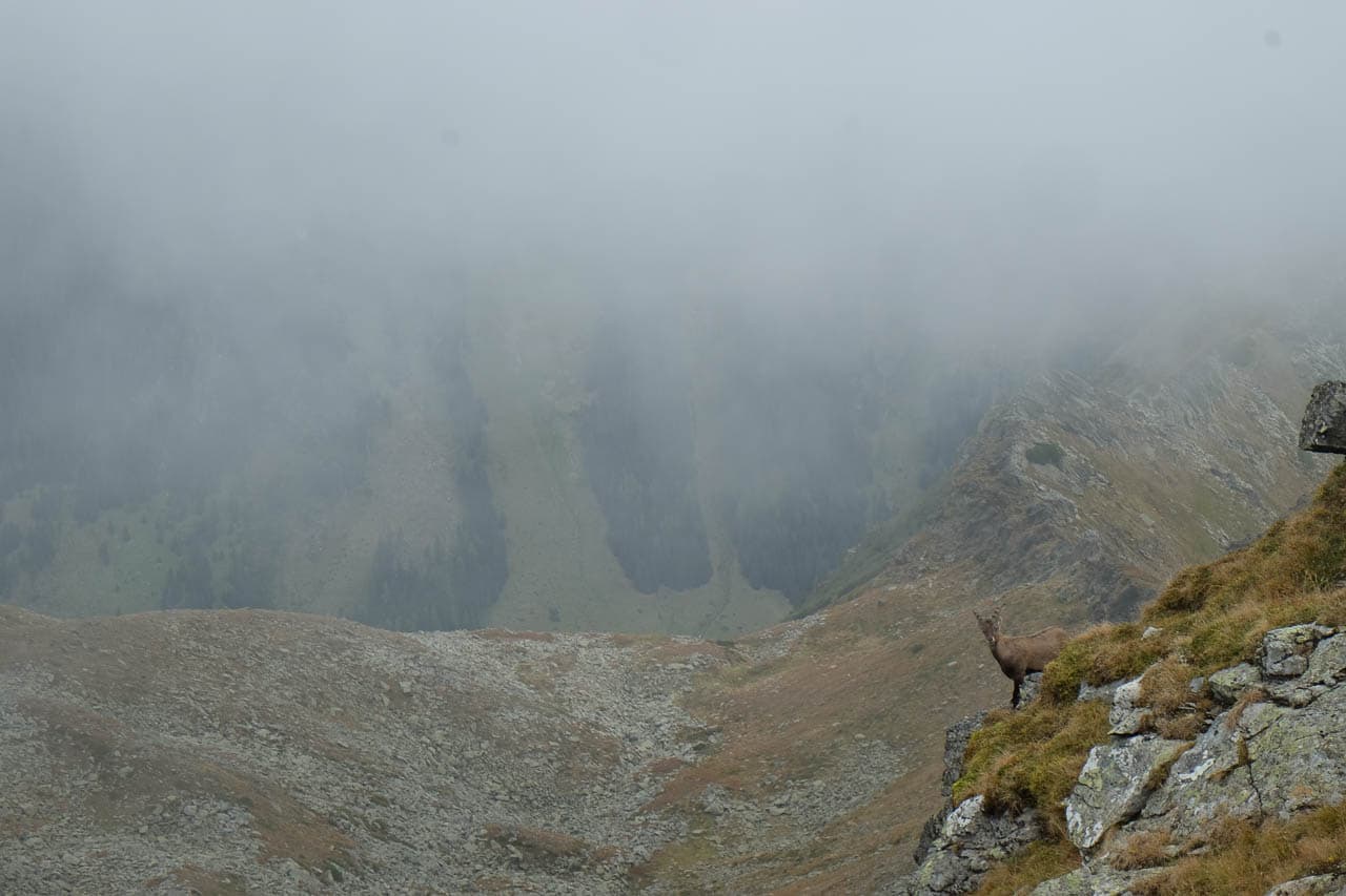 Selectie DSCF6135 Maarten Caversoons