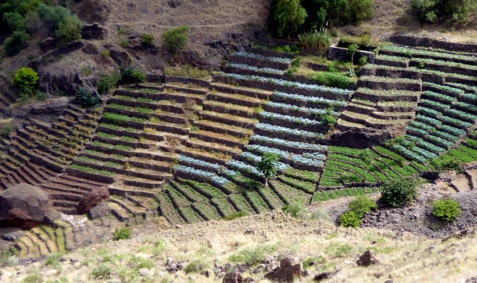 17-AR-CV-PRO-KR-545_export