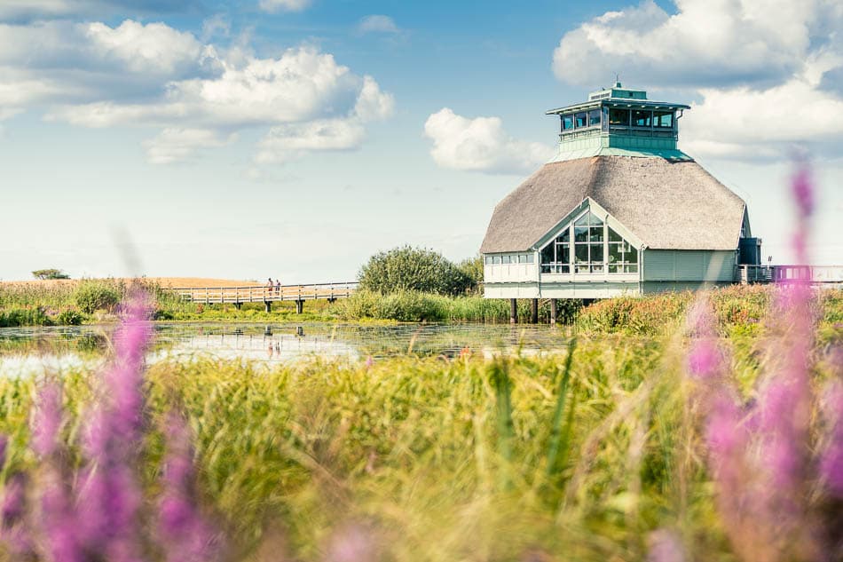 Pilgrimsleden Selectie Agent W950