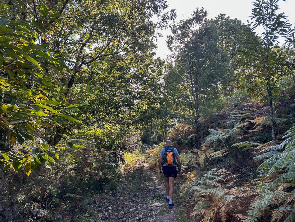 IMG 9813 ES5SSA Agent W950