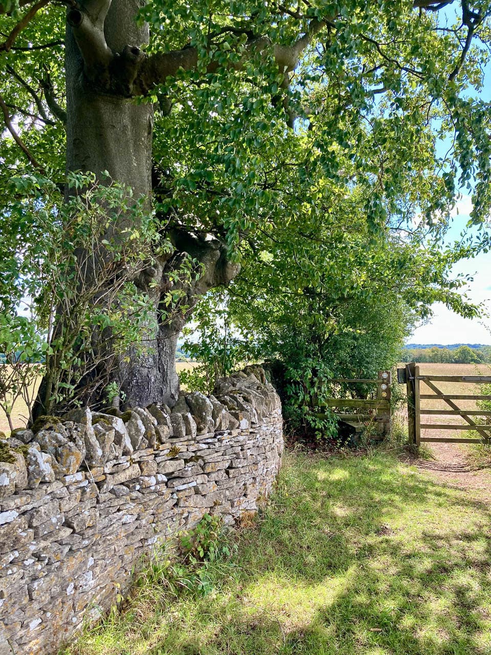 Selectie IMG 8595 Annemie Vriesema