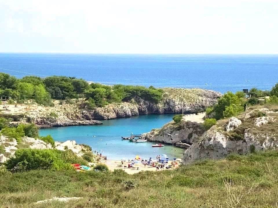 badisco-puglia_export