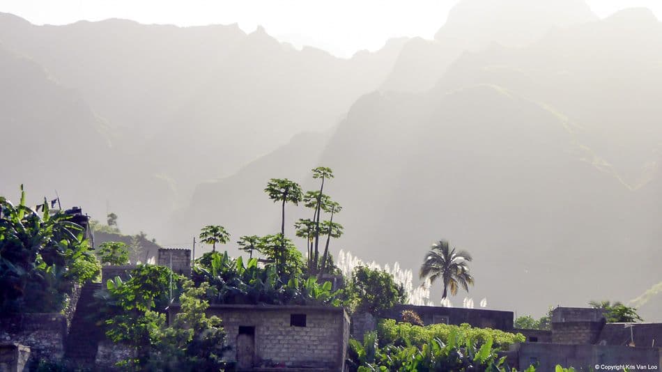 AR-15-CV-KR-095_export_w950