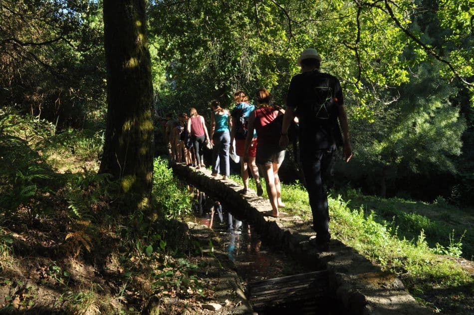 DSC_0330_export_w950